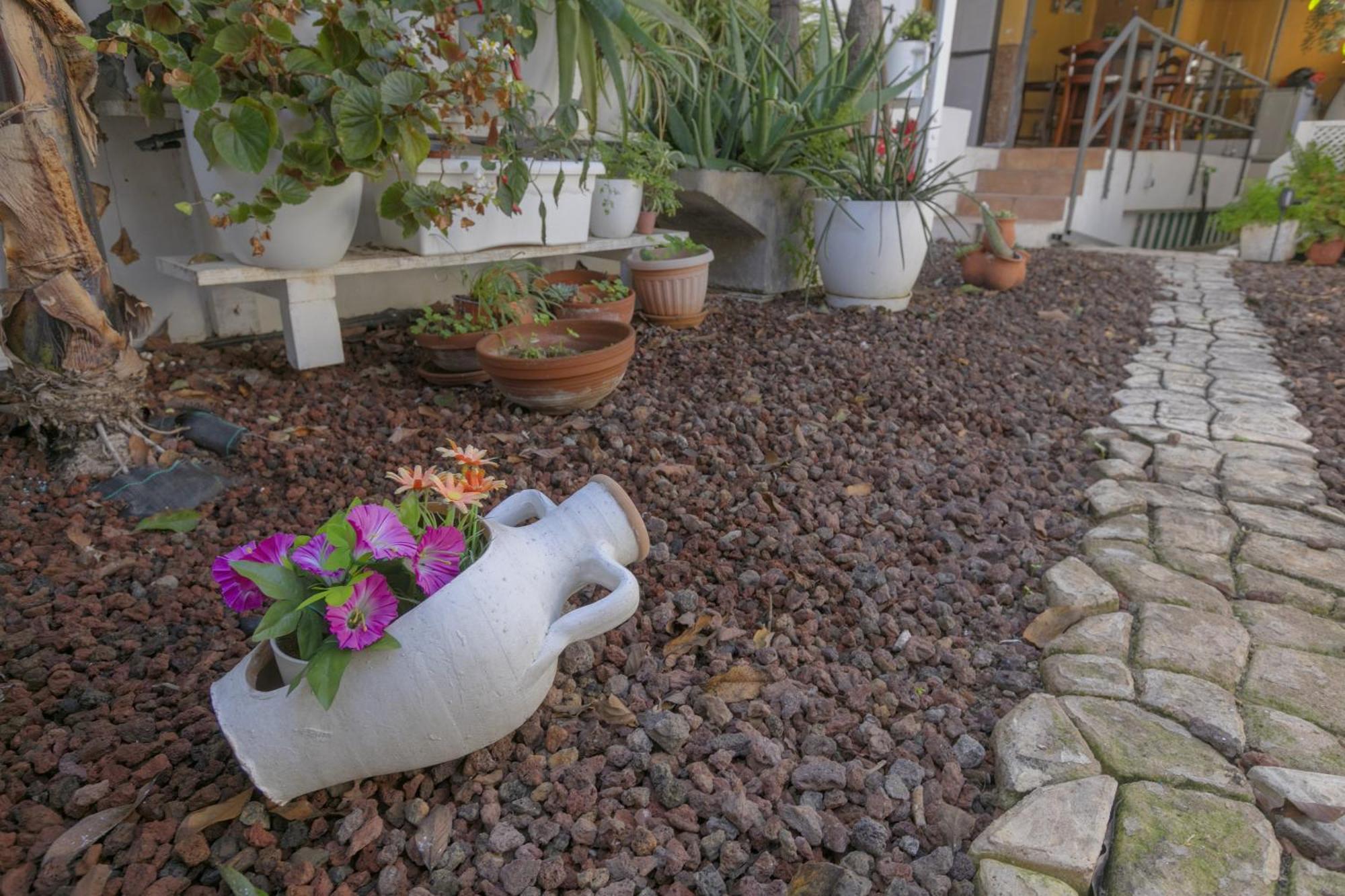 Loft Cerca Del Mar Tenerife Punta Del Hidalgo Bagian luar foto